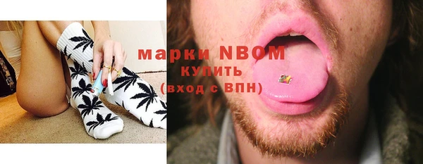 индика Баксан