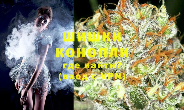индика Баксан