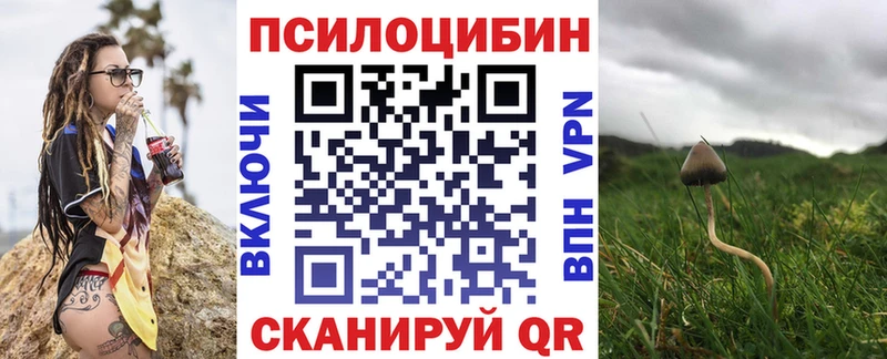 купить наркоту  Белая Холуница  Галлюциногенные грибы прущие грибы 